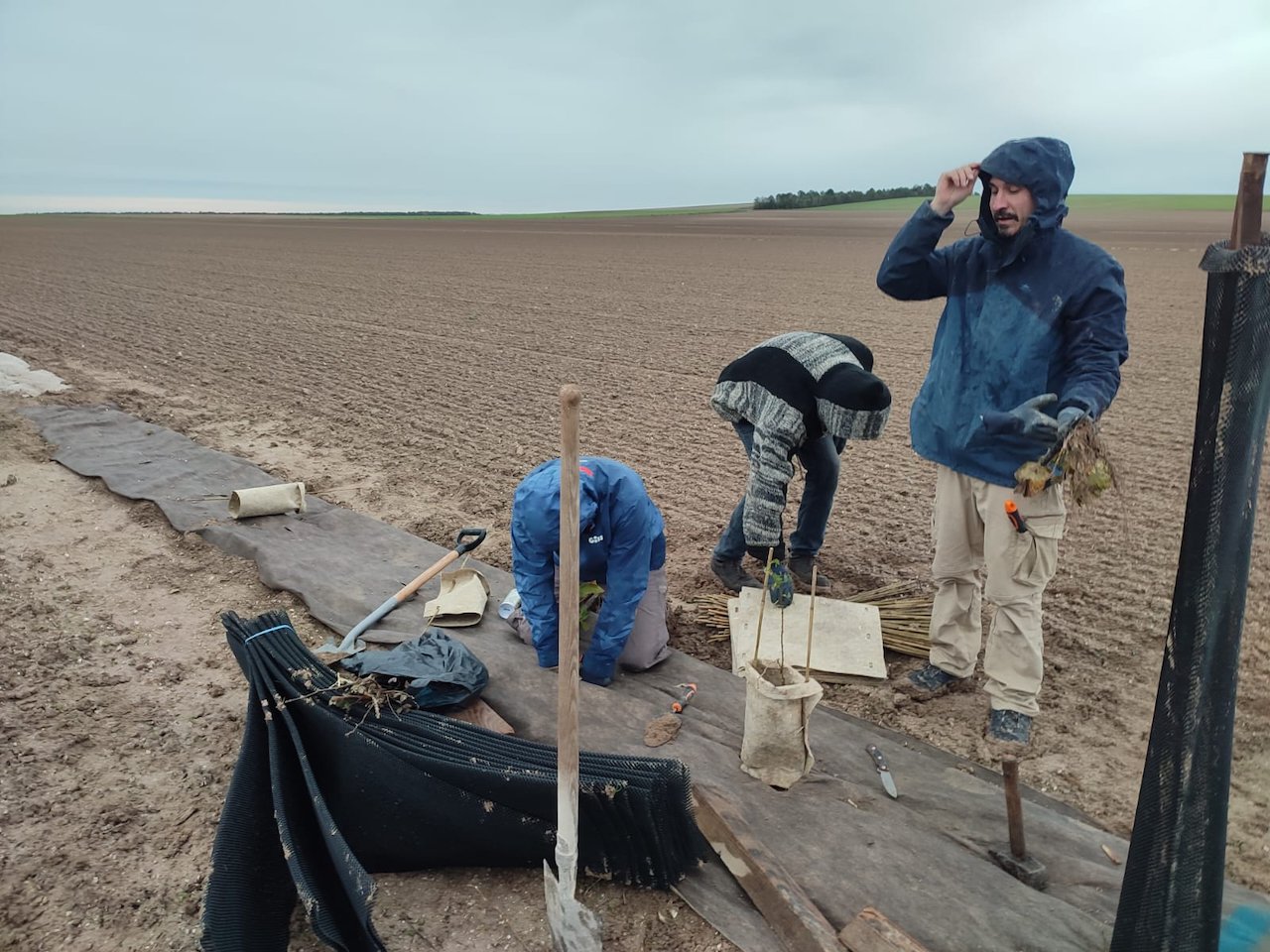 Chantier participatif