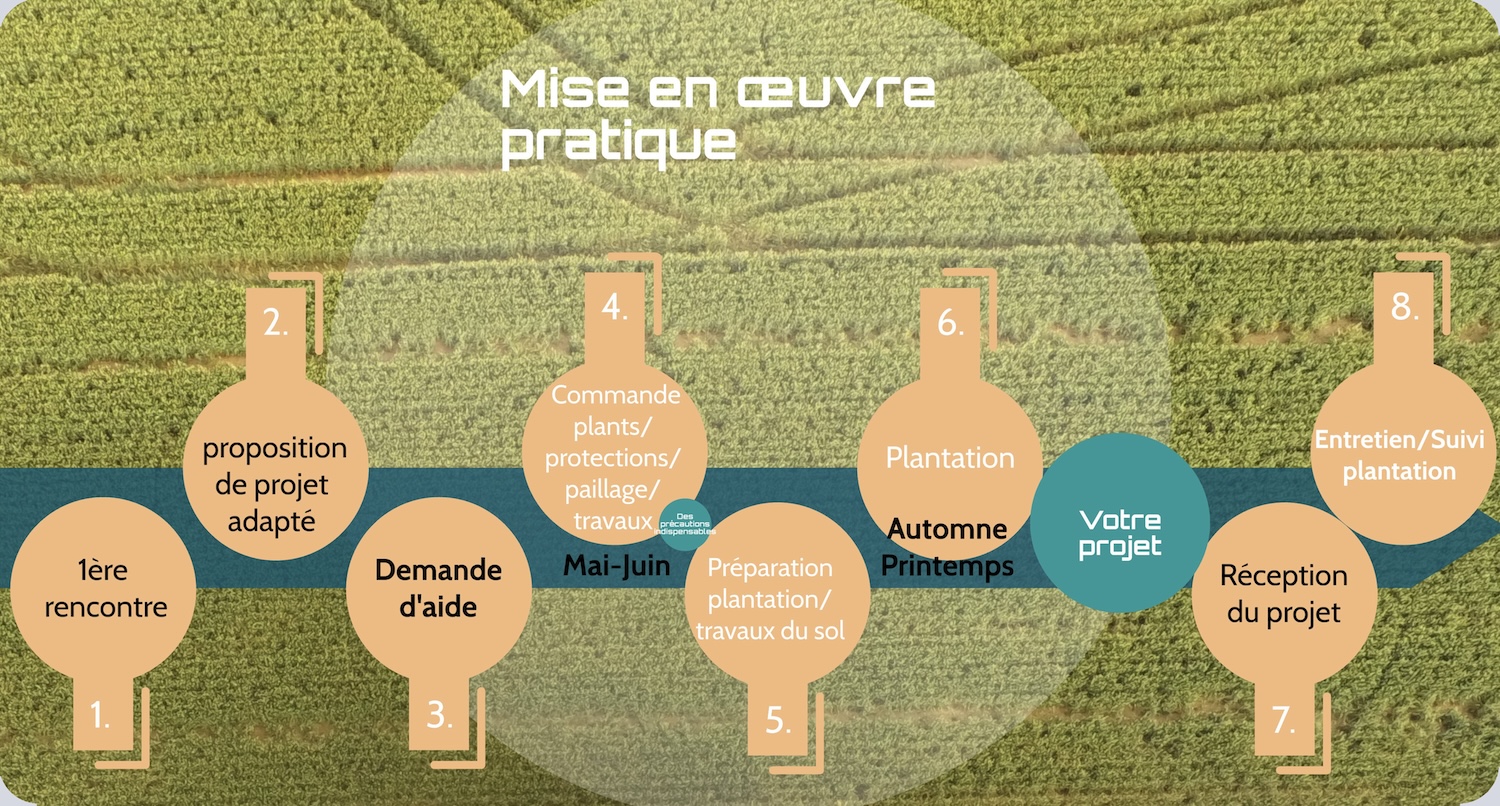 Evolution_Projet_Agroforesterie-1 Evolution_Projet_Agroforesterie-1